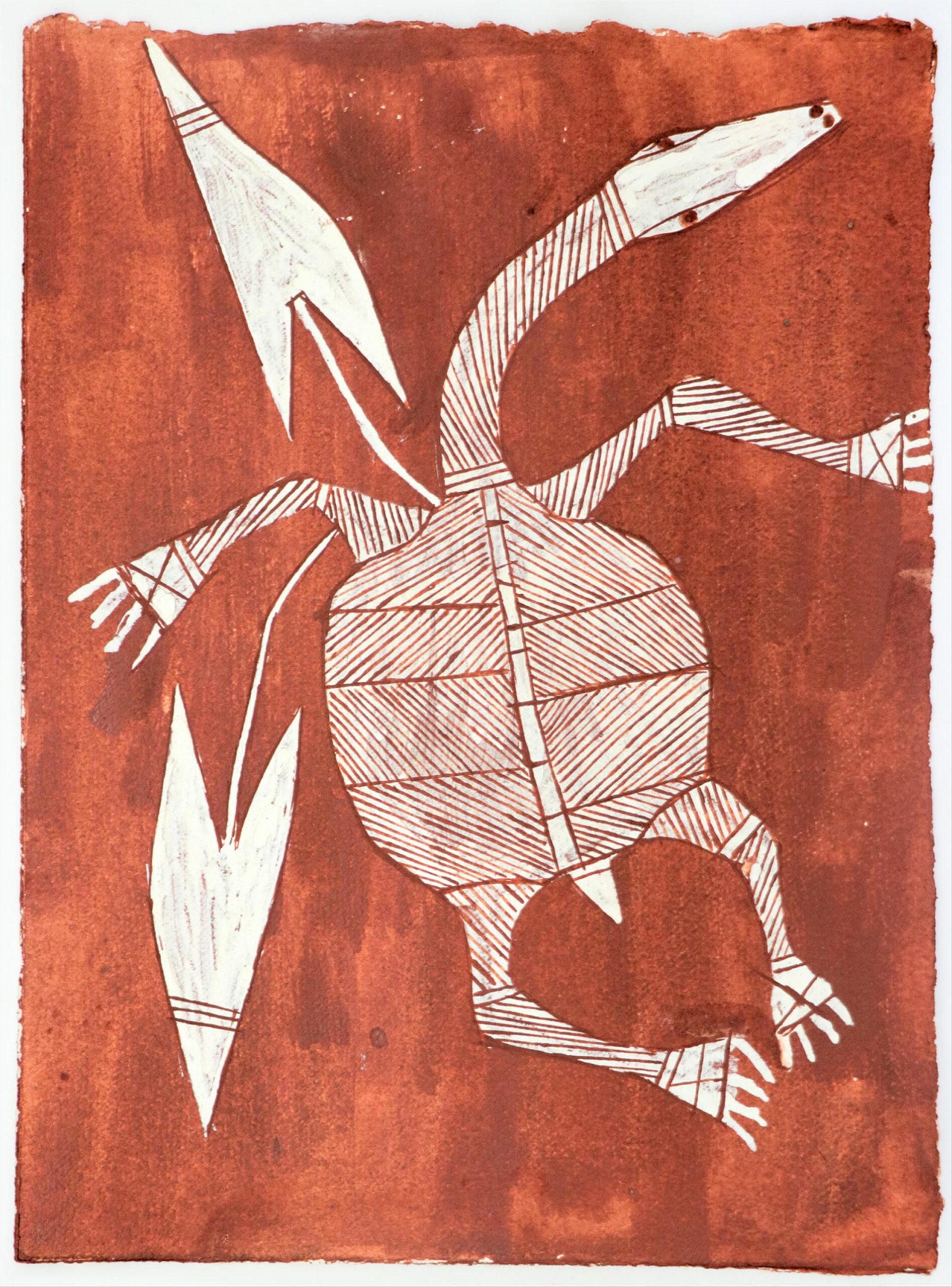 Ngalmangiyi (Long-Necked Turtle)