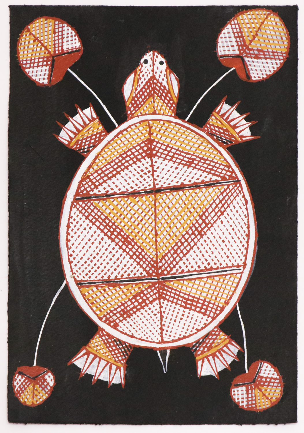 Ngarderrhwo (Snapping/Shortneck Turtle) - Paper - Graham Badari
