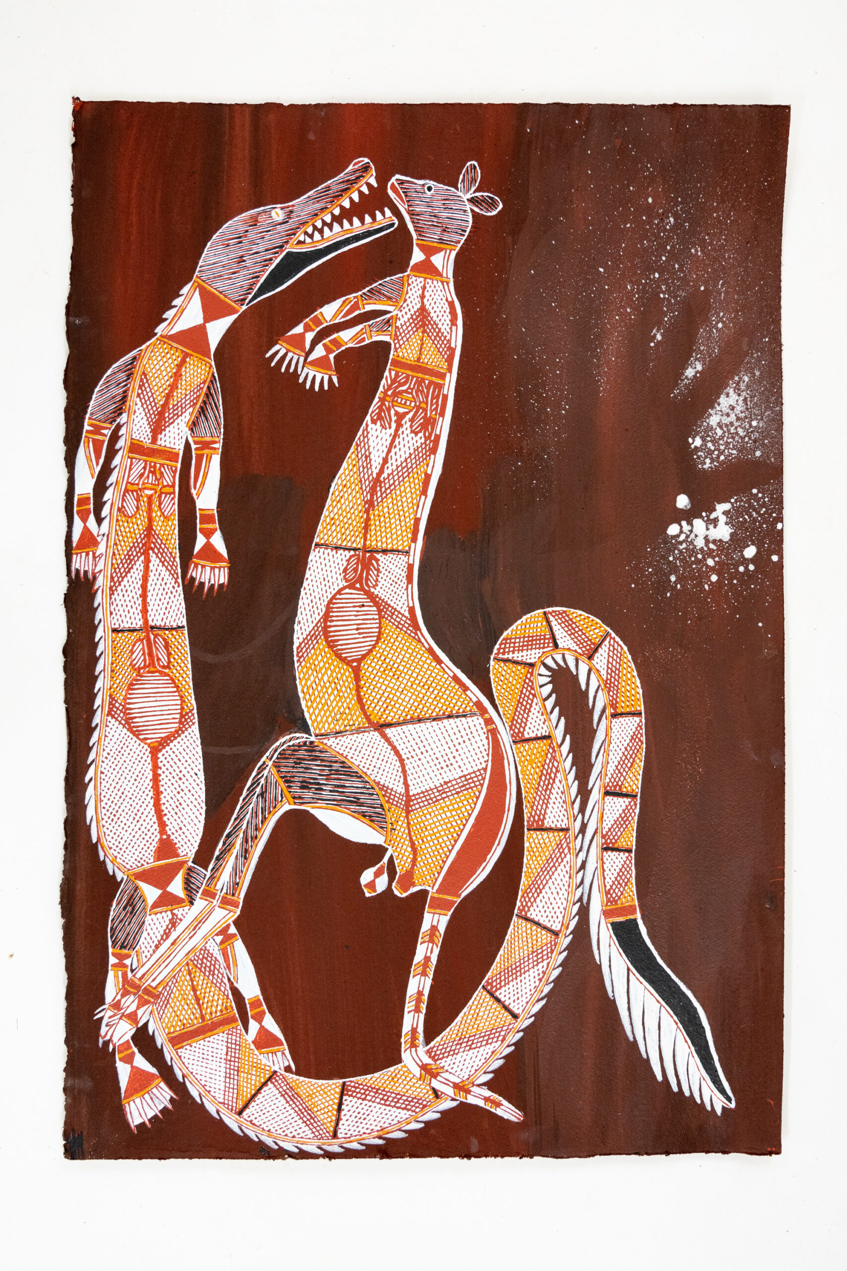 Kinga (Saltwater Crocodile) - Paper - Graham Badari