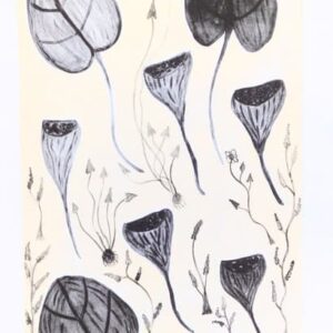 Mandem (Water lilly) - APW - Print - Connie Nayinggul