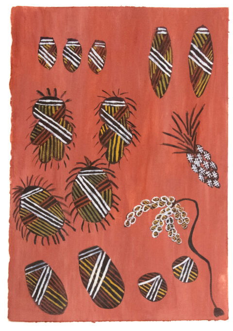 Manme (Bush foods) - Paper - Gwenyth Mangiru