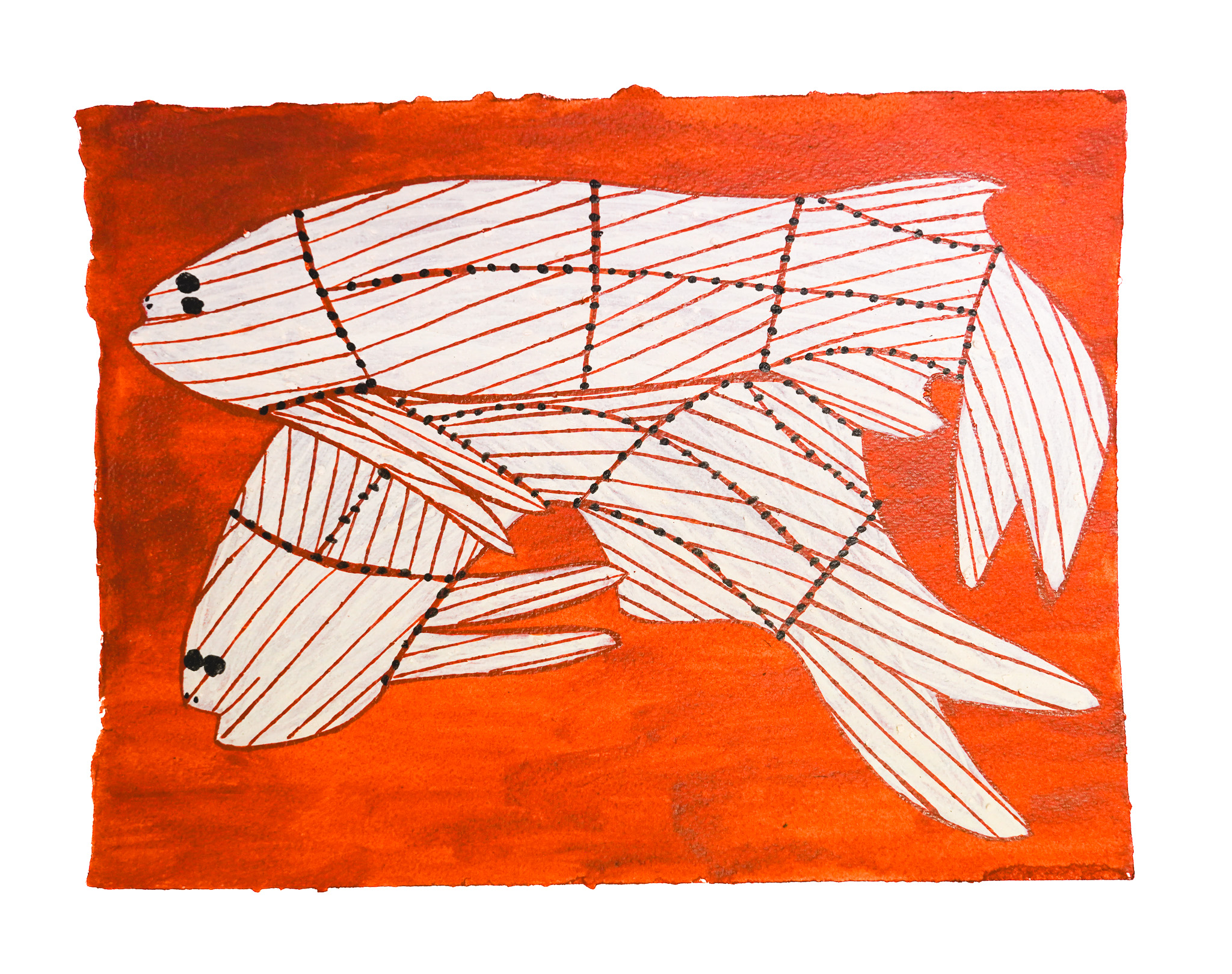Djenj (Fish) - Paper - Joe Guymala