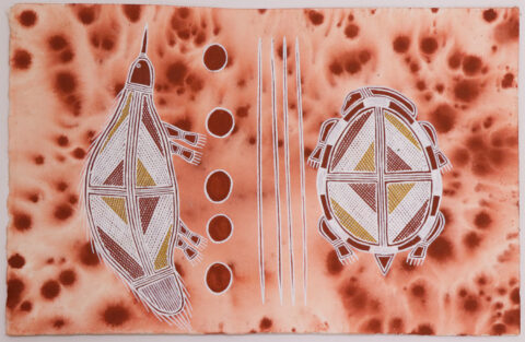 Ngalmangiyi dja Ngarrbek (The Turtle and Echidna Story) - Paper - Owen Naborlhborlh