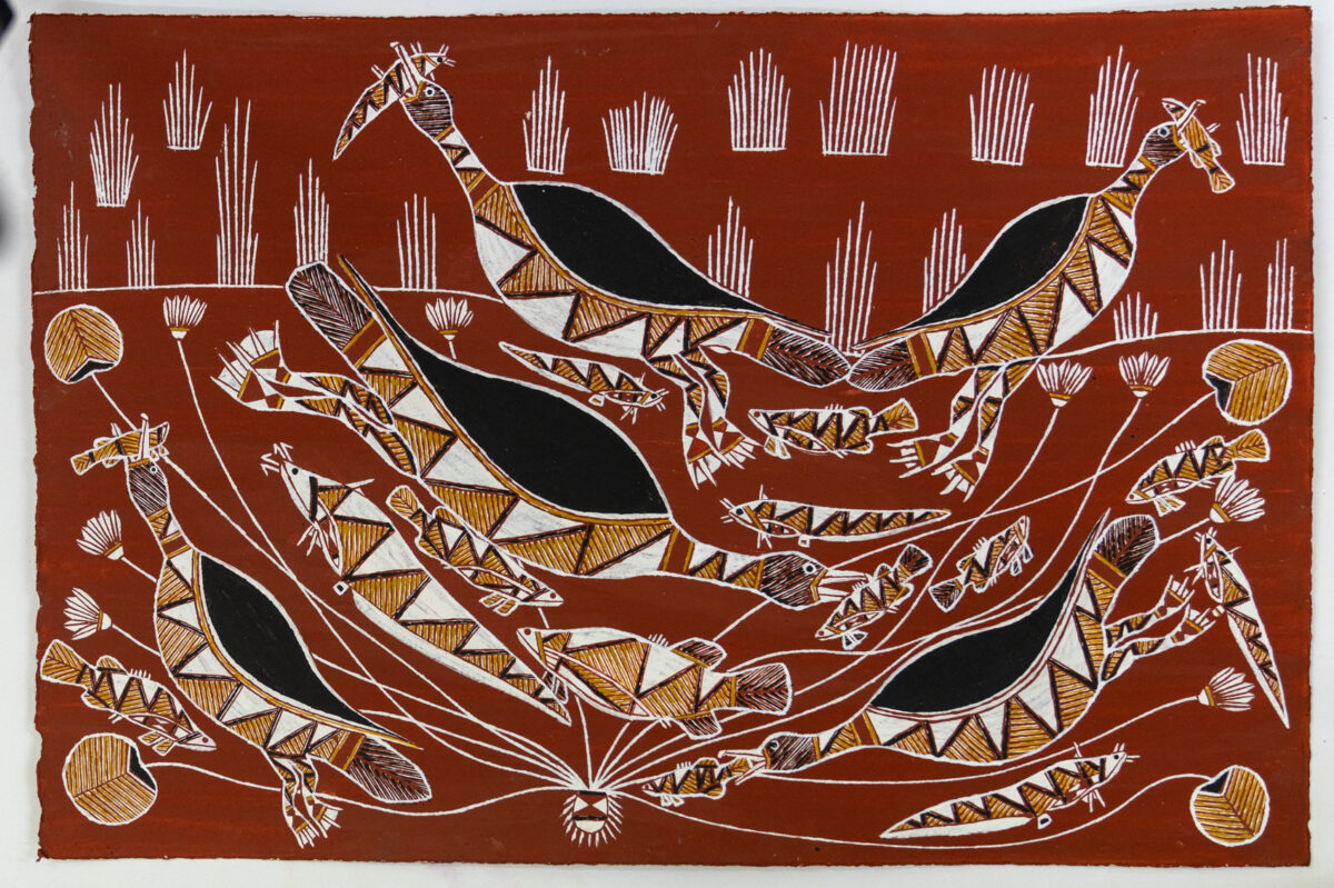 Karrhkiyala (Burdekin Duck) - Paper - Graham Badari
