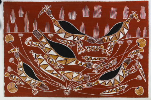 Karrhkiyala (Burdekin Duck) - Paper - Graham Badari