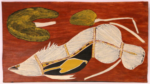 Namarnkol (Barramundi) - Bark - Joe Guymala