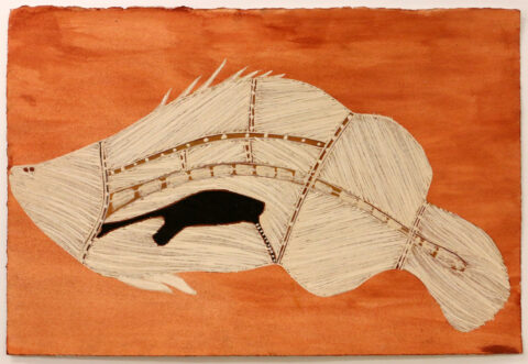 Namarnkol (Barramundi) - * - Joe Guymala