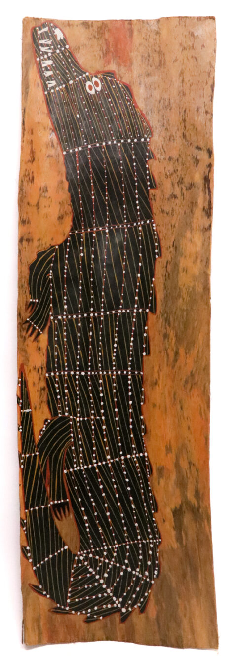 Kinga (Saltwater Crocodile) - Bark - Joe Guymala