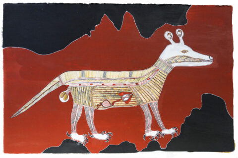 Thylacine (Tasmanian Tiger) - Paper - Lorraine Namarnyilk