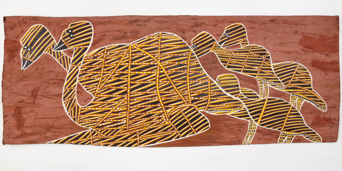 Kurdukadji (Emu) - Bark - Joe Guymala