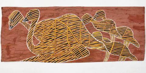 Kurdukadji (Emu) - Bark - Joe Guymala