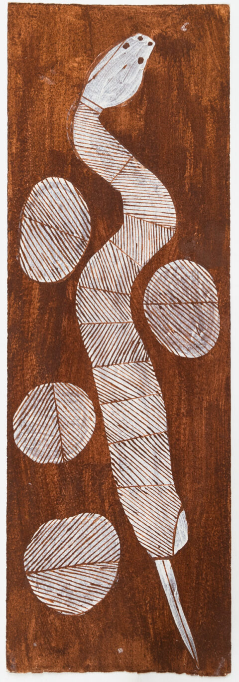 Kedjebe (File snake) - Paper - Don Namundja
