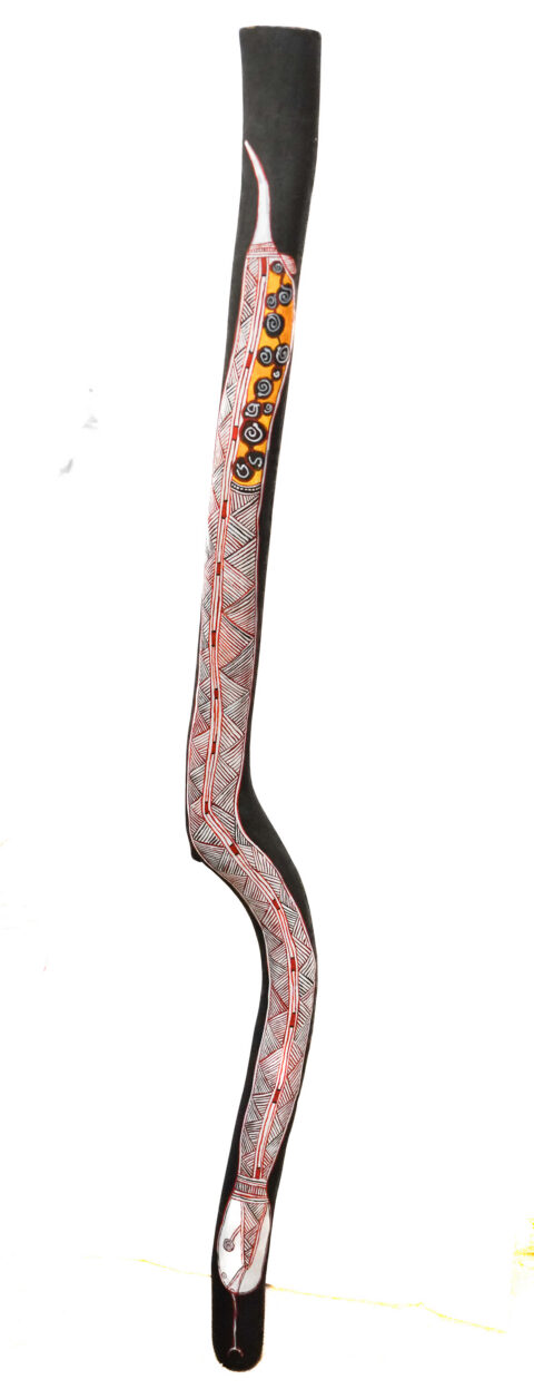 Borlokko (Water Python) - Mako - Lorraine Namarnyilk